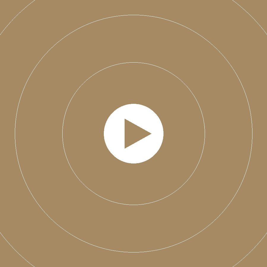 Animación motion graphics